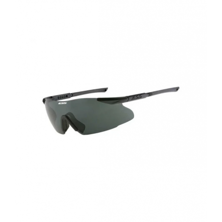 Lunettes balistiques ESS ICE Black / smoke gray