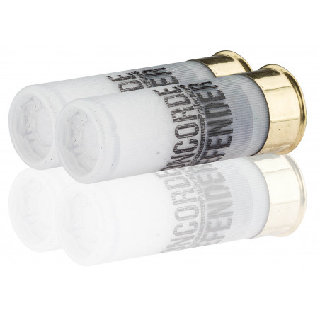 5 cartouches de gros sel cal. 12/67