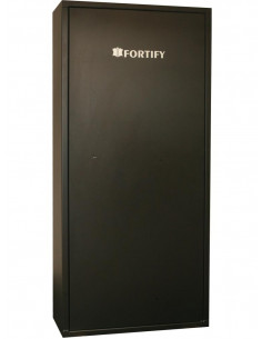 Armoire Forte Economique FORTIFY DELTA 12