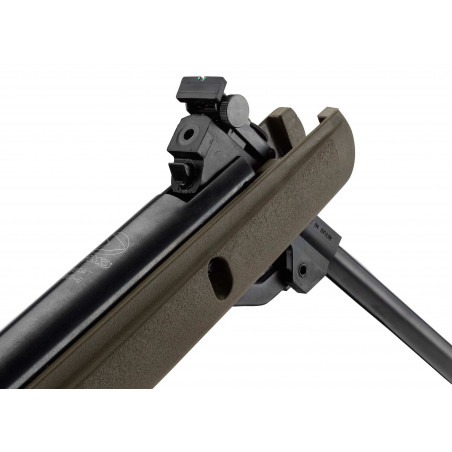 GAMO - Pack Carabine Big Cat 1000E Barricade 4.5 mm 19.9J + Lunette 4X32 WR