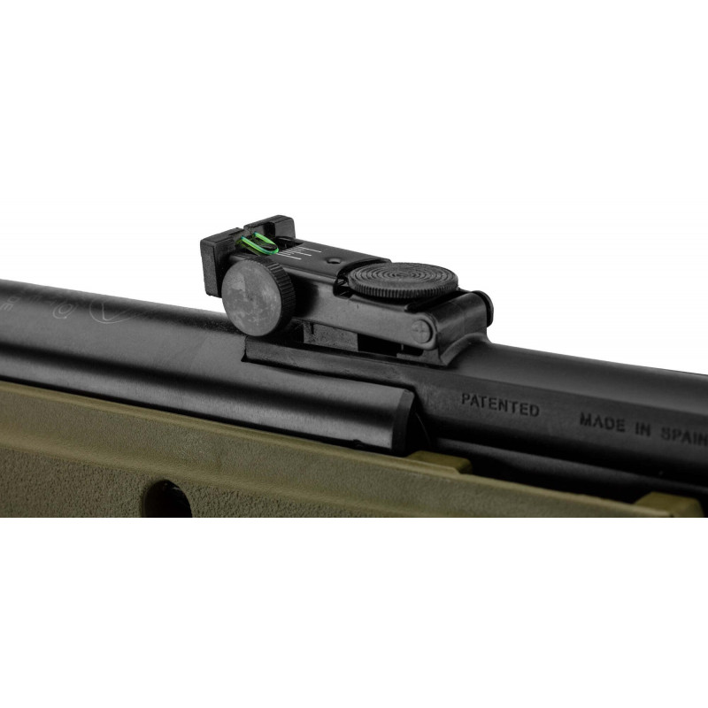 GAMO - Pack Carabine Big Cat 1000E Barricade 4.5 mm 19.9J + Lunette 4X32mm WR