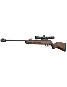GAMO - Carabine Hunter 440 AS + lunette 3-9X40 WR 2