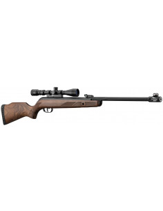 GAMO - Carabine Hunter 440 AS + lunette 3-9X40 WR