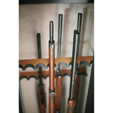 Armoire Forte INFAC SENTINEL 16